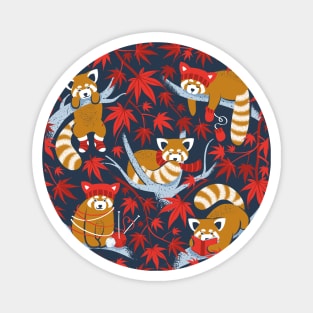 Red panda blending with the foliage // navy background desert sun brown cozy animals fog blue tree branches red acer leaves Magnet